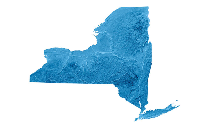 Everything You Need to Know About New York’s New DER & Aggregation Participation Model