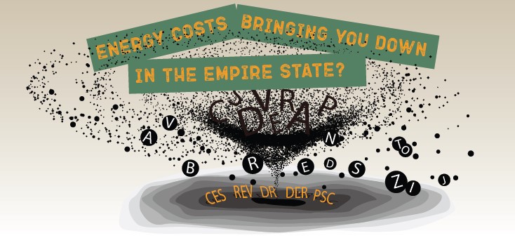 Managing Rising Costs Amidst the Alphabet Soup of NY Energy Initiatives